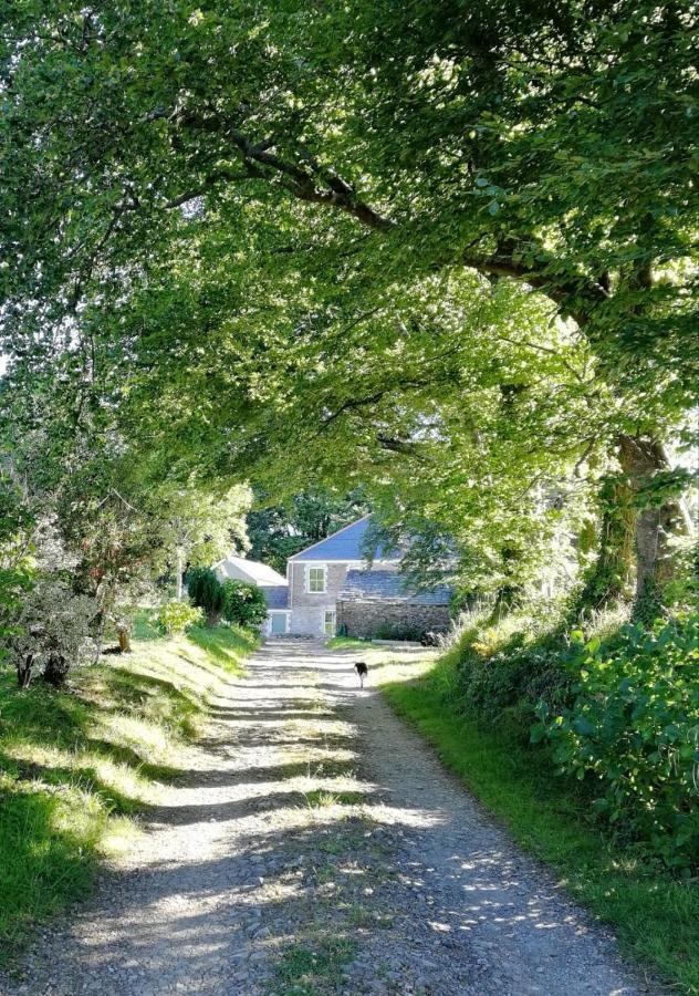 Cornwall, Looe - Magical Pendriffey Pelynt Exterior photo