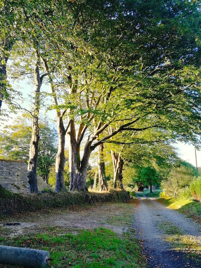 Cornwall, Looe - Magical Pendriffey Pelynt Exterior photo